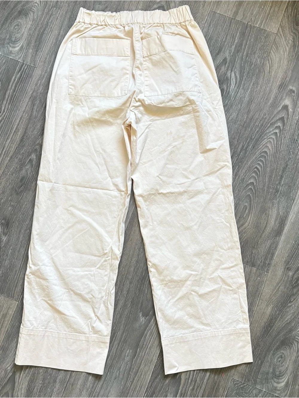 Everlane Easy Pants sz 6 canvas